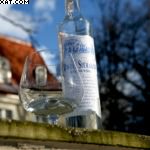Polish Vodka Tasting